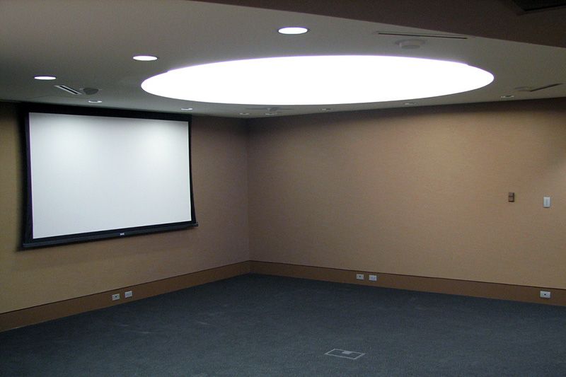 room with large screen and skylight